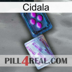 Cidala 37